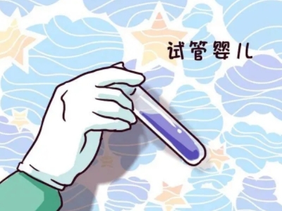 首席专家